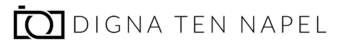 Logo_digna_ten_napel_k Logo van Digna ten Napel